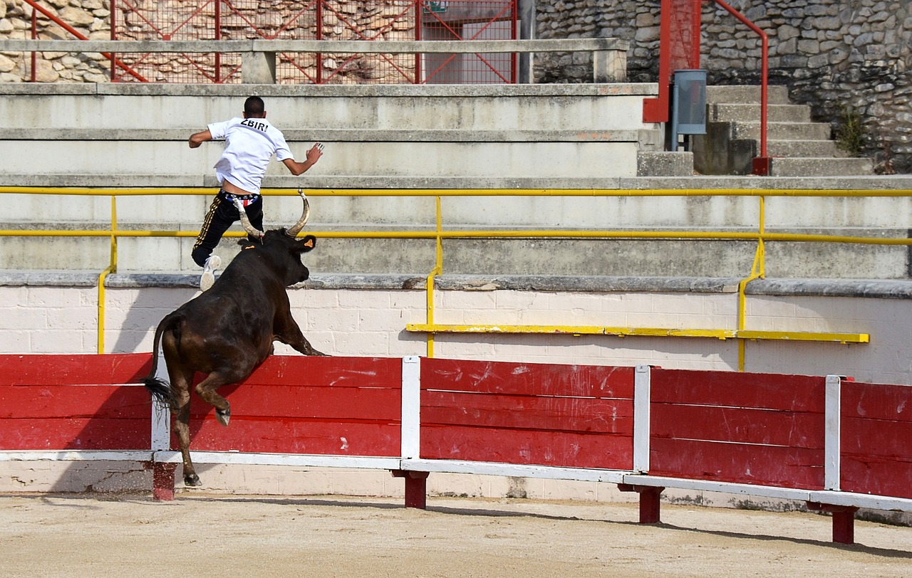 了尊重
